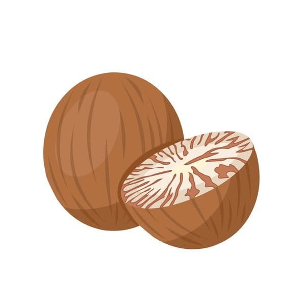 Areca Nuts