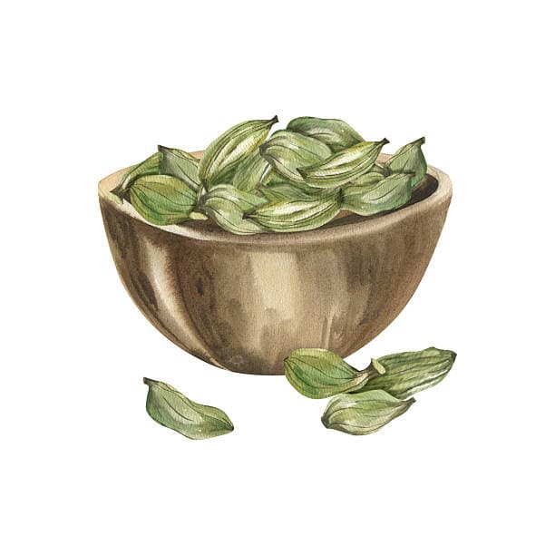 Cardamom