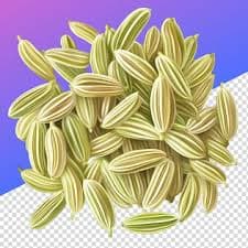 Fennel Seeds