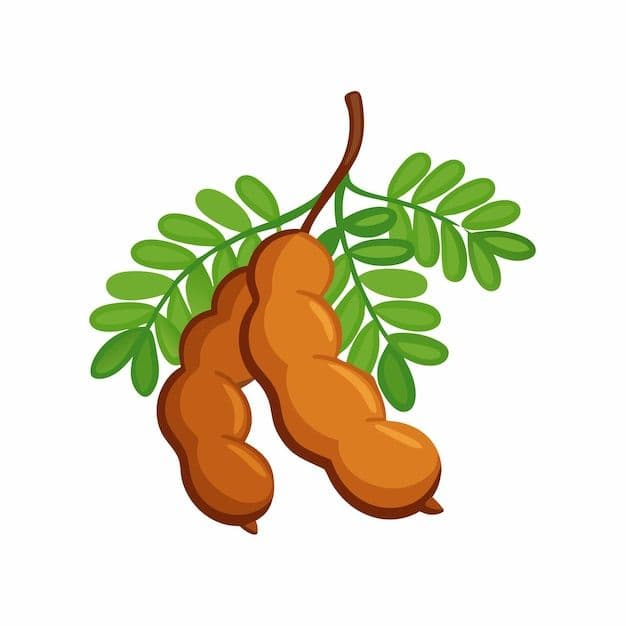 Tamarind