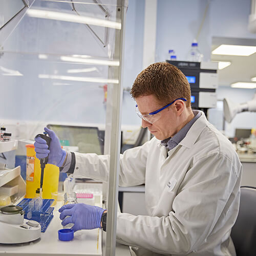 looking-for-lab